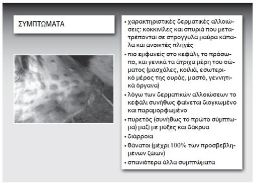 2026-5-Eyl-5